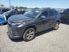 2023 Toyota Rav4 Xle Серый vin: 2T3W1RFV1PW243532