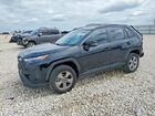 2023 Toyota Rav4 Xle Black vin: 2T3W1RFV7PW267592