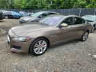 2016 Jaguar Xf Premium Brown vin: SAJBD4BV1GCY24502