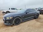 2017 Ford Mustang Gt Black vin: 1FA6P8CFXH5340166