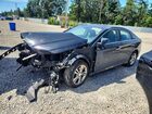 2019 Hyundai Sonata Sel Black vin: 5NPE34AF4KH769257