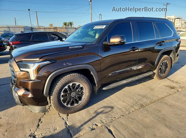 2023 TOYOTA SEQUOIA SR5