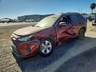 2024 Toyota Rav4 Le Red vin: JTMMWRFV7RD268637