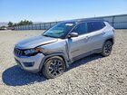 2019 Jeep Compass Trailhawk Silver vin: 3C4NJDDB6KT786351