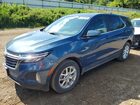 2024 Chevrolet Equinox Blue vin: 3GNAXUEG4RL319759