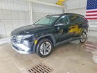 2025 Hyundai Tucson Sel Black vin: 3KMJCCDE3SE007048