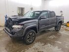 2020 Toyota Tacoma Trd Sport Gray vin: 3TMCZ5AN2LM341072