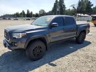 2019 Toyota Tacoma Trd Off-road Gray vin: 3TMCZ5AN6KM279822