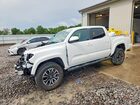 2023 Toyota Tacoma Trd Sport White vin: 3TMCZ5AN9PM580673
