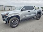 2024 Toyota Tacoma Trd Off-road Silver vin: 3TMLB5JN0RM078433