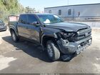 2024 Toyota Tacoma Sr5 Gray vin: 3TMLB5JN2RM004740