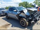 2024 Toyota Tacoma Trd Off Road Gray vin: 3TMLB5JN2RM057034