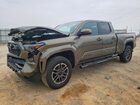 2024 Toyota Tacoma Trd Sport Green vin: 3TMLB5JN2RM061472