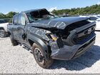 2024 Toyota Tacoma Trd Off Road Gray vin: 3TYLB5JN9RT029042