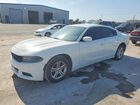 2019 Dodge Charger Sxt White vin: 2C3CDXBG6KH664648