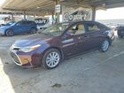 2016 Toyota Avalon Hybrid Xle Premium Purple vin: 4T1BD1EB3GU052685