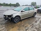 2017 Toyota Avalon Xle Premium Gold vin: 4T1BK1EB8HU251691
