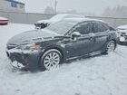 2020 Toyota Camry Se Black vin: 4T1G11AK4LU374752