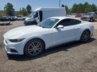 2016 Ford Mustang White vin: 1FA6P8THXG5263928