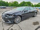2019 Lexus Es 350 Black vin: 58ABZ1B15KU049513