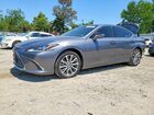 2021 Lexus Es 250 Base Gray vin: 58AD11D12MU002844