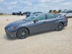2023 Lexus Es 350 Base Gray vin: 58ADZ1B10PU152483