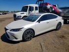 2024 Lexus Es 350 Base Белый vin: 58ADZ1B15RU173171