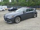 2023 Lexus Es 300h Base Charcoal vin: 58AEA1C14PU032910