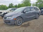 2026 Honda Odyssey Exl Gray vin: 5FNRL6H67TB004899