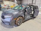 2023 Honda Odyssey Exl Gray vin: 5FNRL6H68PB037545