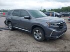 2024 Honda Pilot Ex-l Gray vin: 5FNYG2H42RB013641