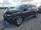 2023 Hyundai Tucson Se Black vin: 5NMJACAE2PH183392
