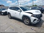 2023 Hyundai Tucson Sel White vin: 5NMJB3AE9PH271739