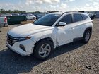 2024 Hyundai Tucson Sel White vin: 5NMJB3DE3RH302935