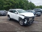 2023 Hyundai Tucson Sel White vin: 5NMJBCAE2PH214265
