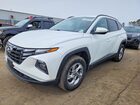 2023 Hyundai Tucson Sel Белый vin: 5NMJBCAE5PH263864