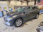 2023 Hyundai Tucson Sel Gray vin: 5NMJBCAE8PH203755