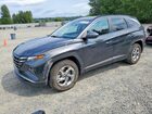 2023 Hyundai Tucson Sel Gray vin: 5NMJBCAE9PH250356