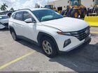 2024 Hyundai Tucson Sel White vin: 5NMJBCDEXRH428113