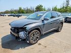 2025 Hyundai Tucson Limited Gray vin: 5NMJECDE7SH537402