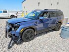 2025 Hyundai Santa Fe Calligraphy Blue vin: 5NMP5DG18SH039444