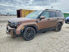2024 Hyundai Santa Fe Calligraphy Brown vin: 5NMP5DGL5RH017333