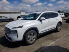 2021 Hyundai Santa Fe Sel White vin: 5NMS24AJ9MH331070