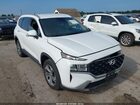 2023 Hyundai Santa Fe Sel White vin: 5NMS2DAJ4PH563368