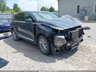 2020 Hyundai Santa Fe Sel Green vin: 5NMS3CAD7LH288882