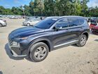2023 Hyundai Santa Fe Sel Premium Black vin: 5NMS3DAJ1PH553619
