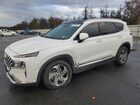 2023 Hyundai Santa Fe Sel Premium White vin: 5NMS3DAJ8PH619535