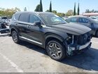 2023 Hyundai Santa Fe Hybrid Limited Black vin: 5NMS5DA11PH007798