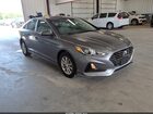 2019 Hyundai Sonata Eco Gray vin: 5NPE24AA2KH774674