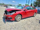 2019 Hyundai Sonata Se Red vin: 5NPE24AF9KH794903